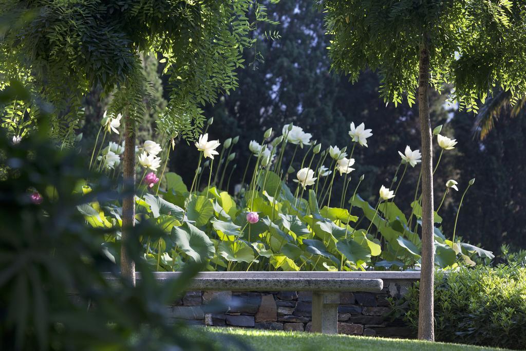 Villa Della Pergola Relais Et Chateaux Alassio Eksteriør billede