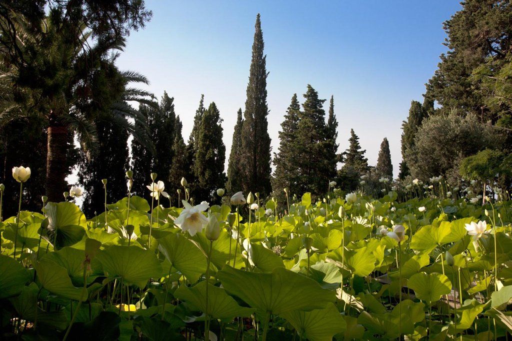Villa Della Pergola Relais Et Chateaux Alassio Eksteriør billede
